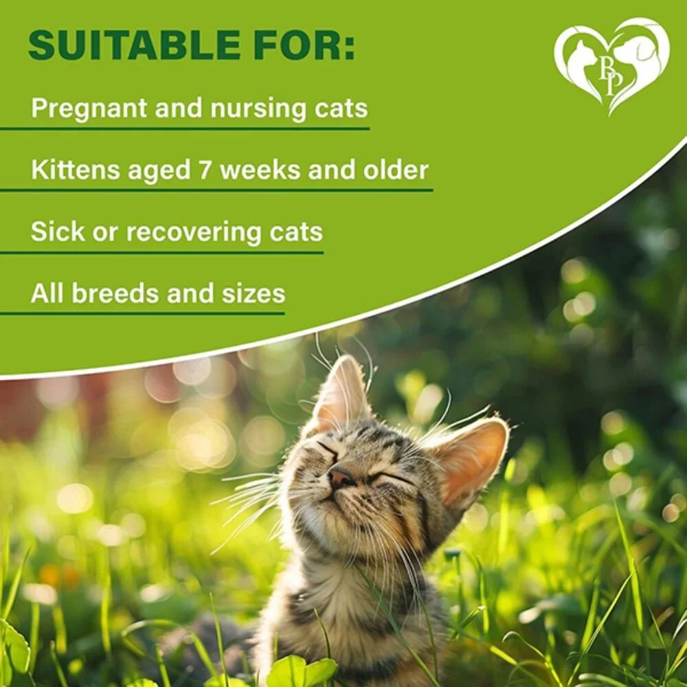 New Natural Flea and Tick Collar for Cats with 6 Month Protection